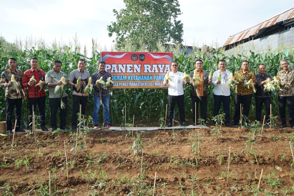 Dukung Ketahanan Pangan, Lapas Makassar Gelar Panen Raya Jagung