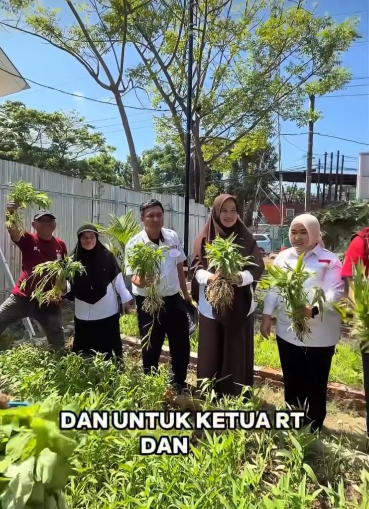 Kadis Perikanan dan Pertanian Makassar Tinjau Urban Farming dan Panen Bayam di Minasa Upa