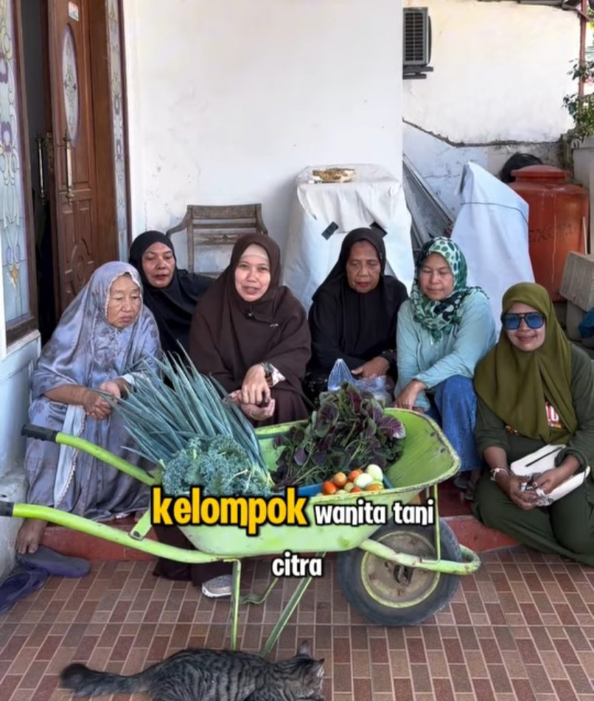 Dinas Perikanan dan Pertanian Makassar Dorong Urban Farming, KWT Citra dan Victoria Panen Sayuran
